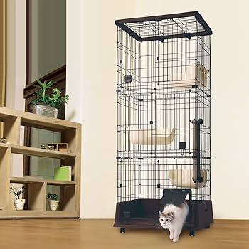 Amazon.co.jp: ペティオ (Petio) necoco ネココ 仔猫からの
